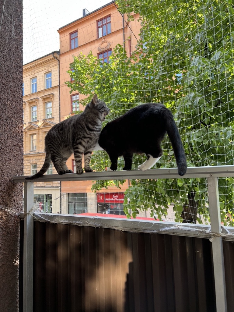 Jeff och Joris på balkongen