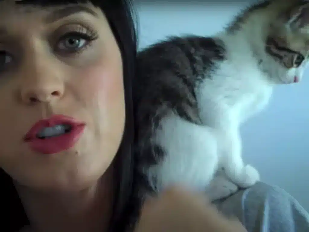 Katy Perry och Kitty Purry