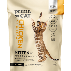 Foder med Kyckling för Kattunge - 1,4 kg