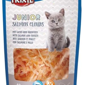 Junior Salmon Clouds - 40 g