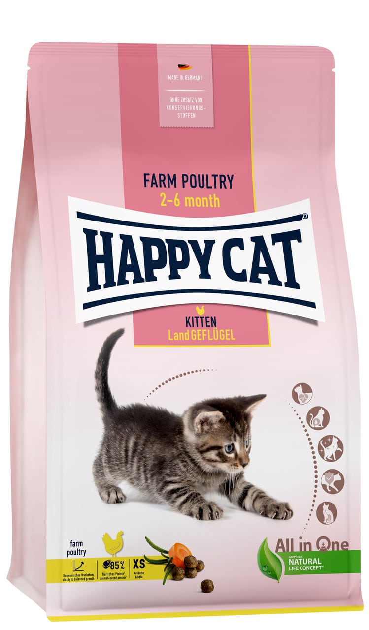 Kitten Fågel - 1,3 kg