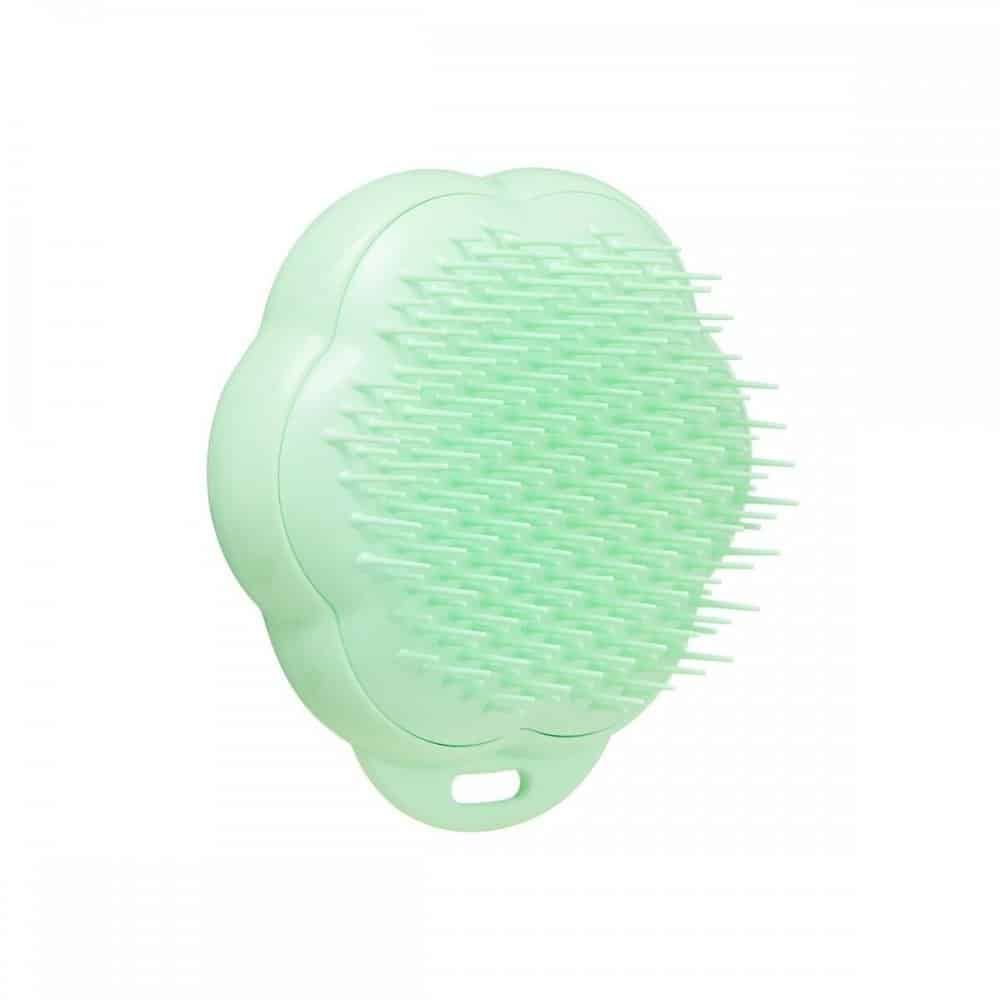 Pet Teezer Kattborste Grön
