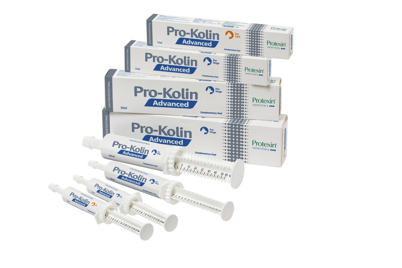 Pro-Kolin Advanced Cat - 15 ml