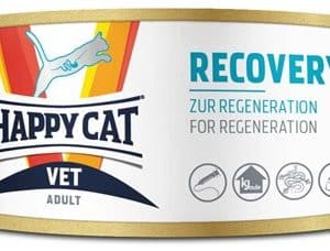 Vet Diet Recovery Våtfoder för Katter - 6 x 100 g