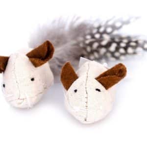 Canvasmus med fjädersvans