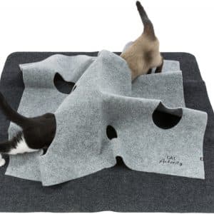 Cat Activity Adventure Carpet
