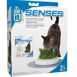 CatIt Senses Grass Garden Refill 2-pack