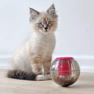 Catmosphere treatdispenser Rosa