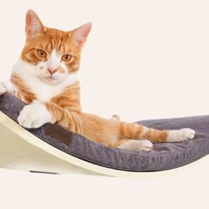 Cosy and Dozy CHILL DELUXE Smooth Dark Grey (Basic)