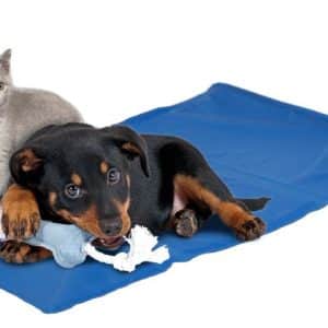 Dyna med kylande effekt blå (4 storlekar) (50 x 40 cm)