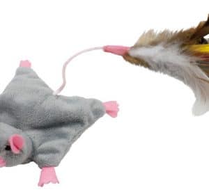 Flygmus med fjädersvans