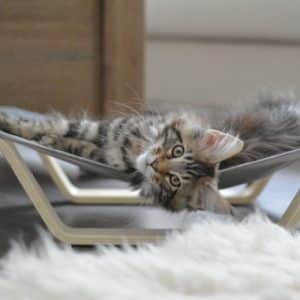 Hammock hängmatta Beonebreed