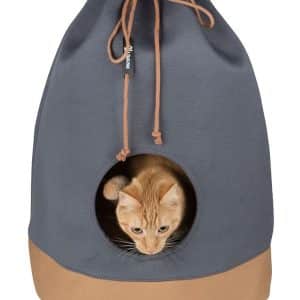 Kattgömma District 70 CASA Cognac