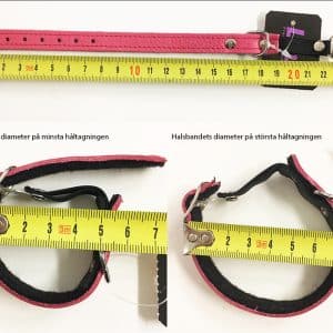 Katthalsband kattunge läder grön