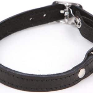 Katthalsband kattunge svart läder