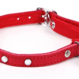 Katthalsband med dekorsten rött