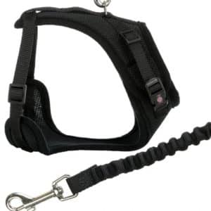 Kattsele Y-sele mesh svart