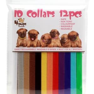 Kattunge- och valphalsband 12-pack