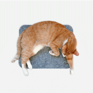 MIKASTE MIKS Kattdyna