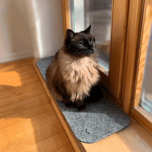 MIKASTE MIKS Lång Kattdyna