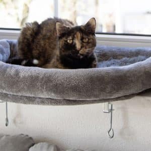 Sovplats fönsterbräda grå