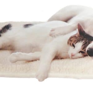 Termofilt värmefilt