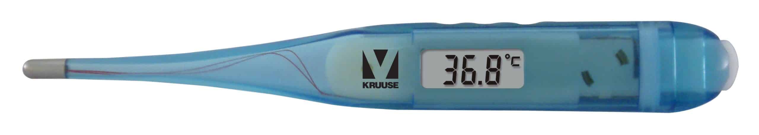 Termometer digital katt
