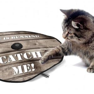 Undercover Mouse Catch Me woodstyle