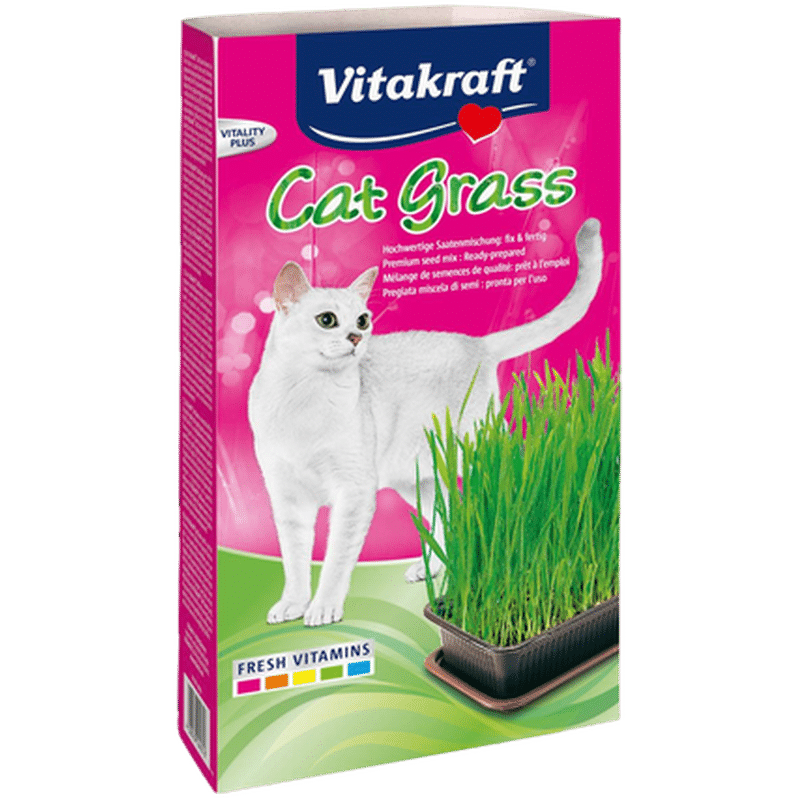 Kattgräs med Groddlåda 120 g - Katt - Kattgodis & Kattgräs - Kattgräs & Gräsfrön för katt - Vitakraft - ZOO.se
