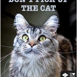 Kattskylt "Don't pick up the cat