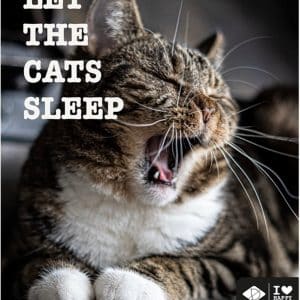 Kattskylt "Let the cats sleep