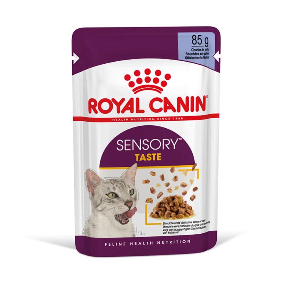 Royal Canin Sensory Taste i gelé - 12 x 85 g