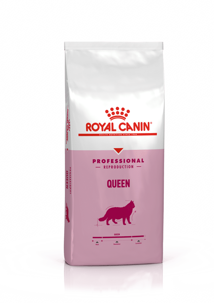 Pro Queen Torrfoder för Katt - 10 kg