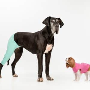 Benskydd Bakben - 7 höger