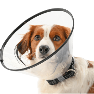 Comfort Collar 30 cm - Hund - Hundvård & Tillskott - Skyddskragar & Hundkragar - Buster - ZOO.se