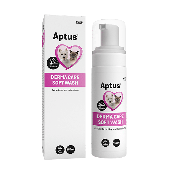 Derma Care Soft Wash - 150 ml