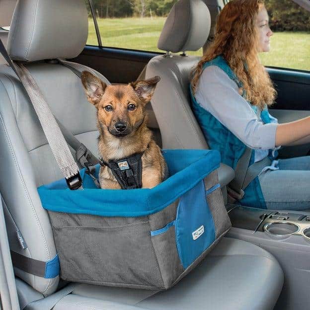 Heather Booster Seat Grey/Coastal Blue 41x30x20cm - Hund - Hundburar - Bilskydd - Kurgo - ZOO.se