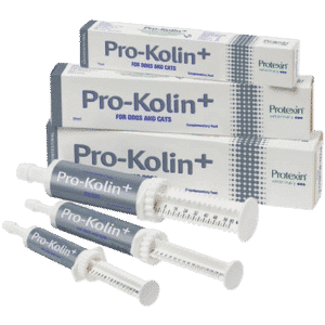 Pro-Kolin+ 15 ml - Veterinär - Apotek & Diagnoser Hund - Mage - Protexin Veterinary - ZOO.se