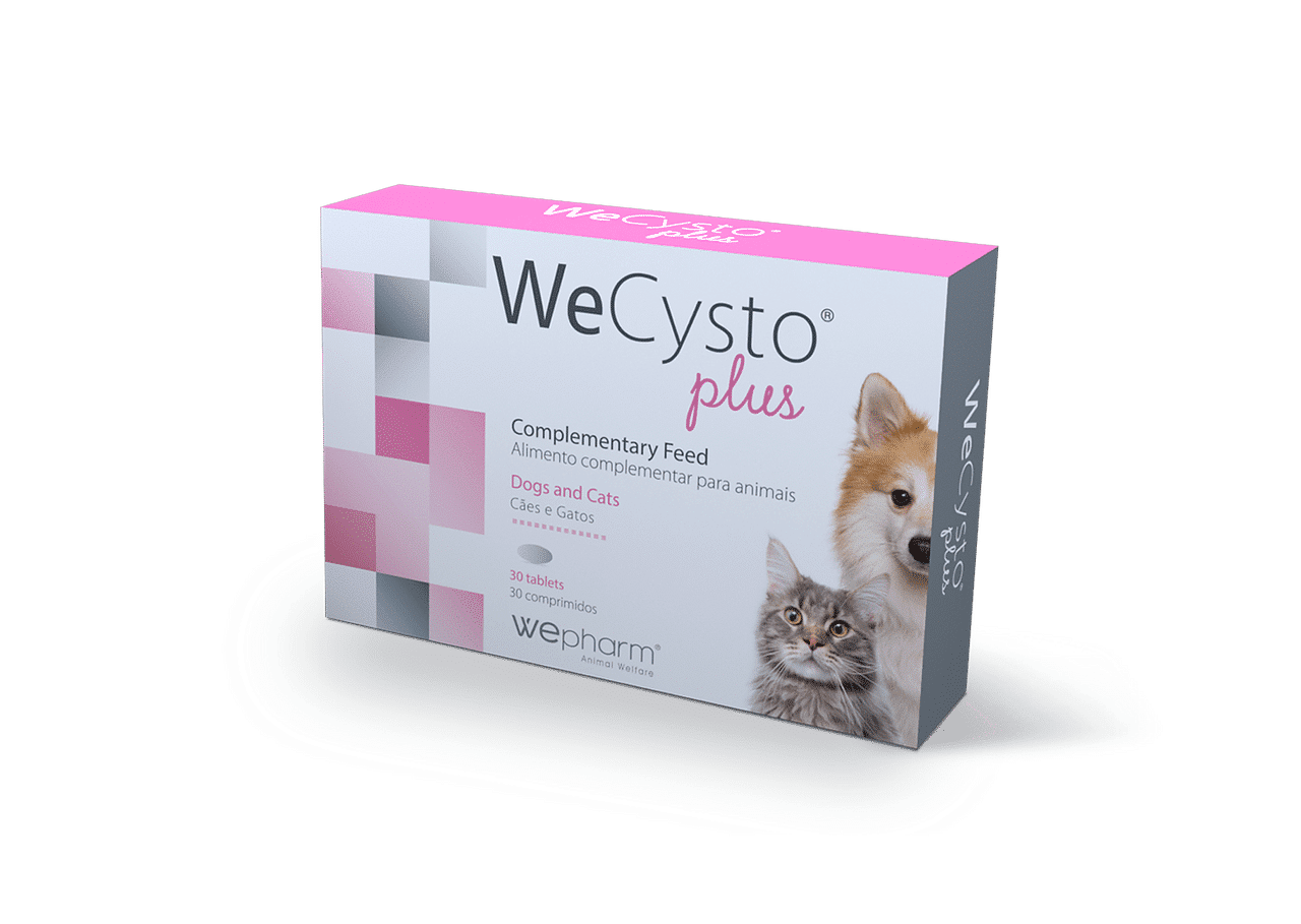 WeCysto Plus Tabletter - 30 tabletter