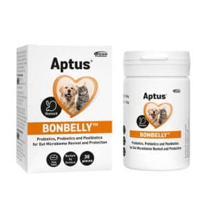 Bonbelly Tuggtablett för Maghälsa - 30 tabletter