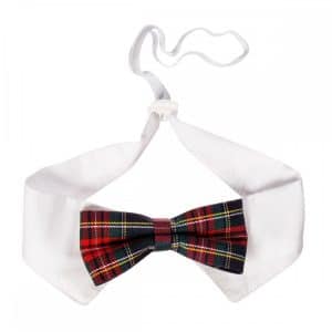 Little&Bigger Festive Fluga till Hund & Katt (m/l)