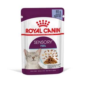 Royal Canin Sensory Feel i gelé - 12 x 85 g