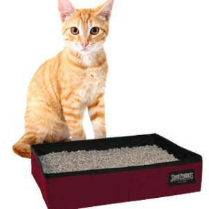 Sturdibox medium (Bordeaux)