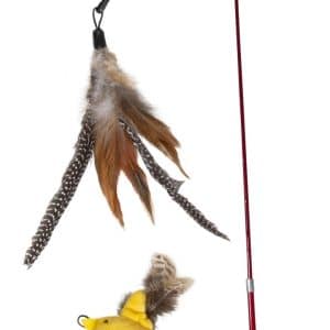 Best Friend Teaser Kattspöleksak