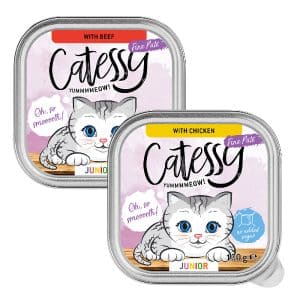 Catessy Junior-Paté Mix - Ekonomipack: 32 x 100 g