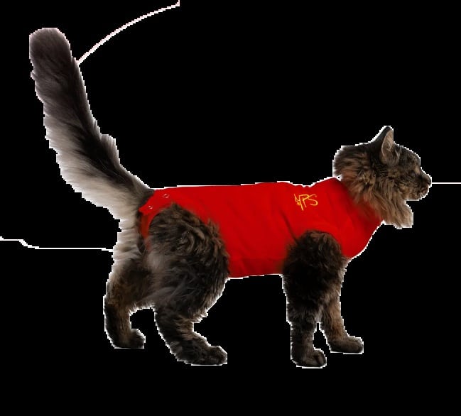 Operationsdräkt Medical PetShirt Kattbody Röd 4XS
