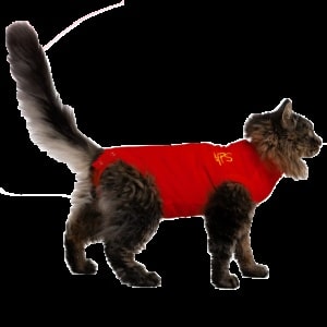 Operationsdräkt Medical PetShirt Kattbody Röd XS