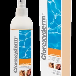 Sprejschampo ICF Clorexyderm Solution 200 ml