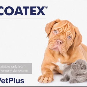 Vetplus Coatex kapsel för katt och hund 60 st
