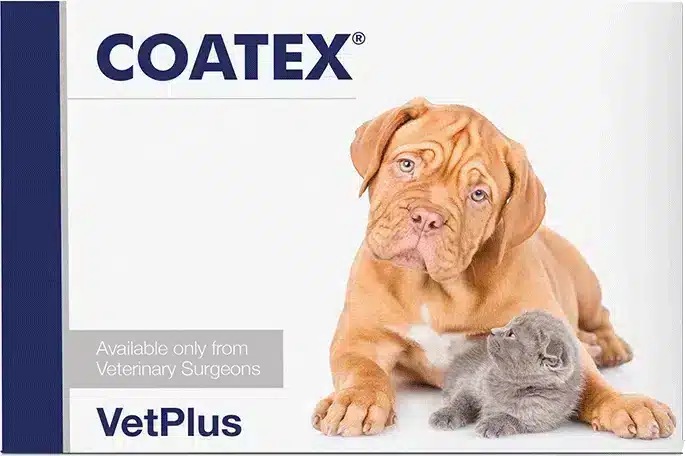 Vetplus Coatex kapsel för katt och hund 60 st